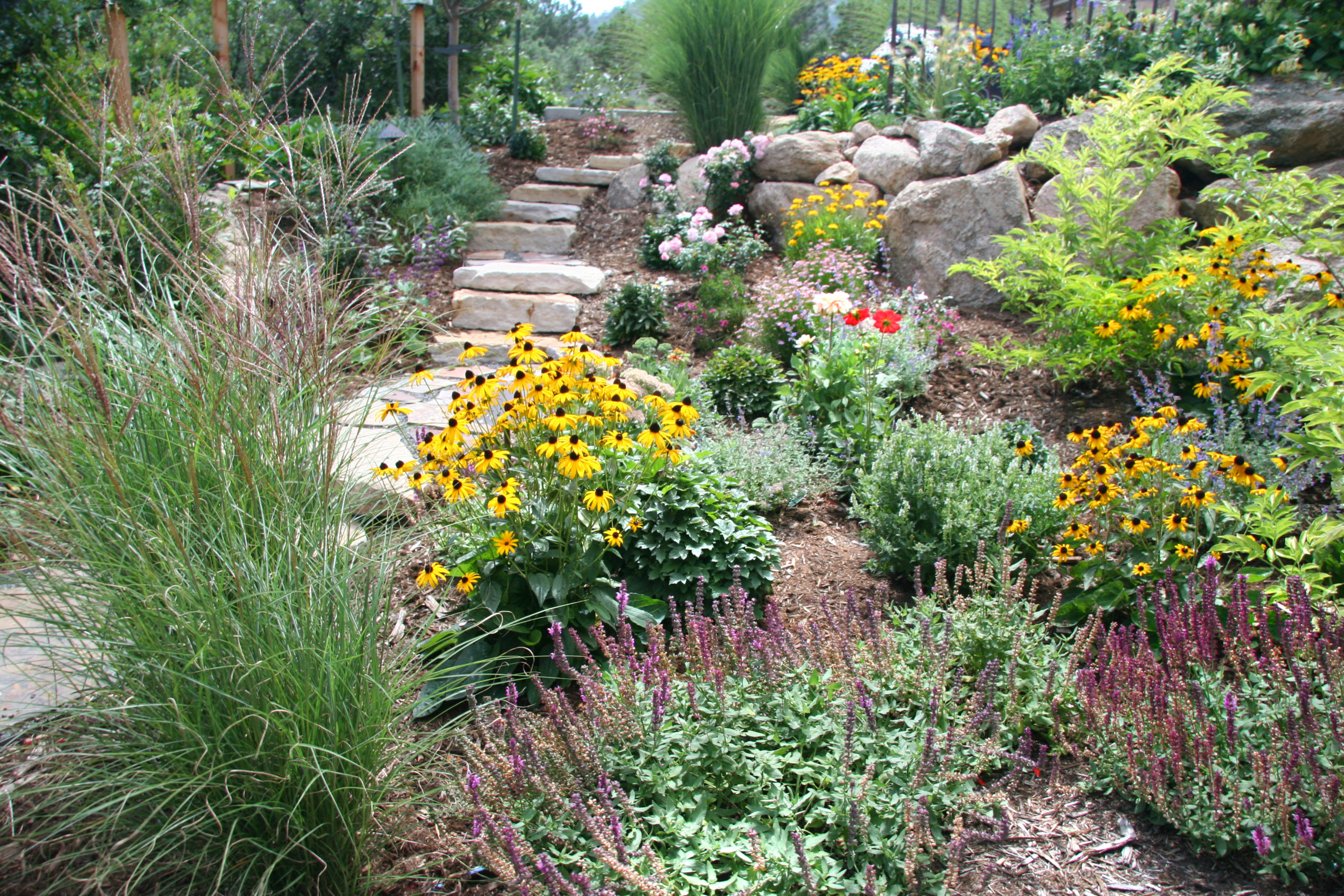 Our Blog | 4 Tips For Low Maintenance Landscaping While Reducing Your ...